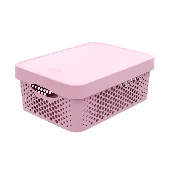 SallyBasket